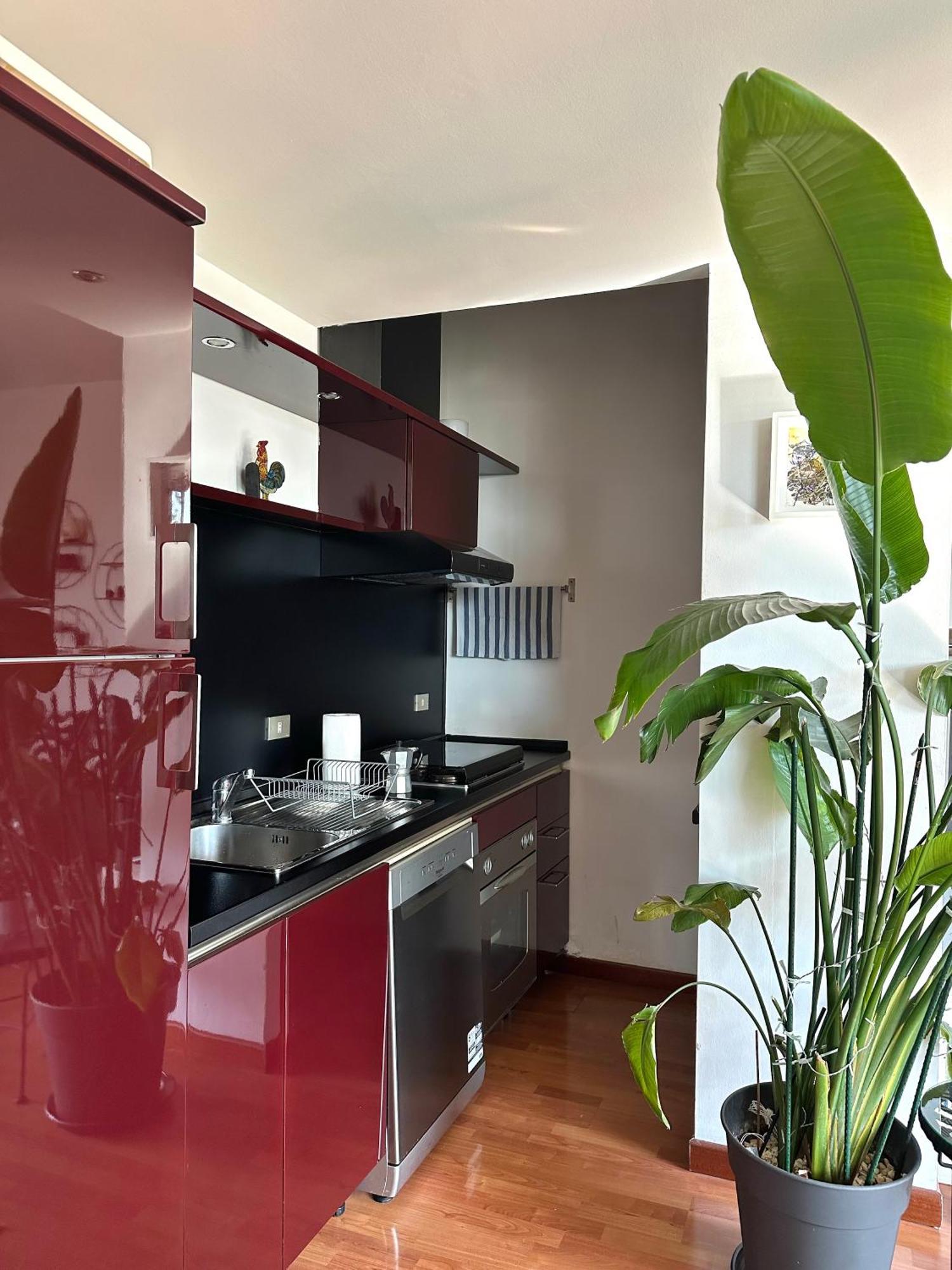 Appartement Urban Jungle - Attico Vista Duomo à Milan Extérieur photo
