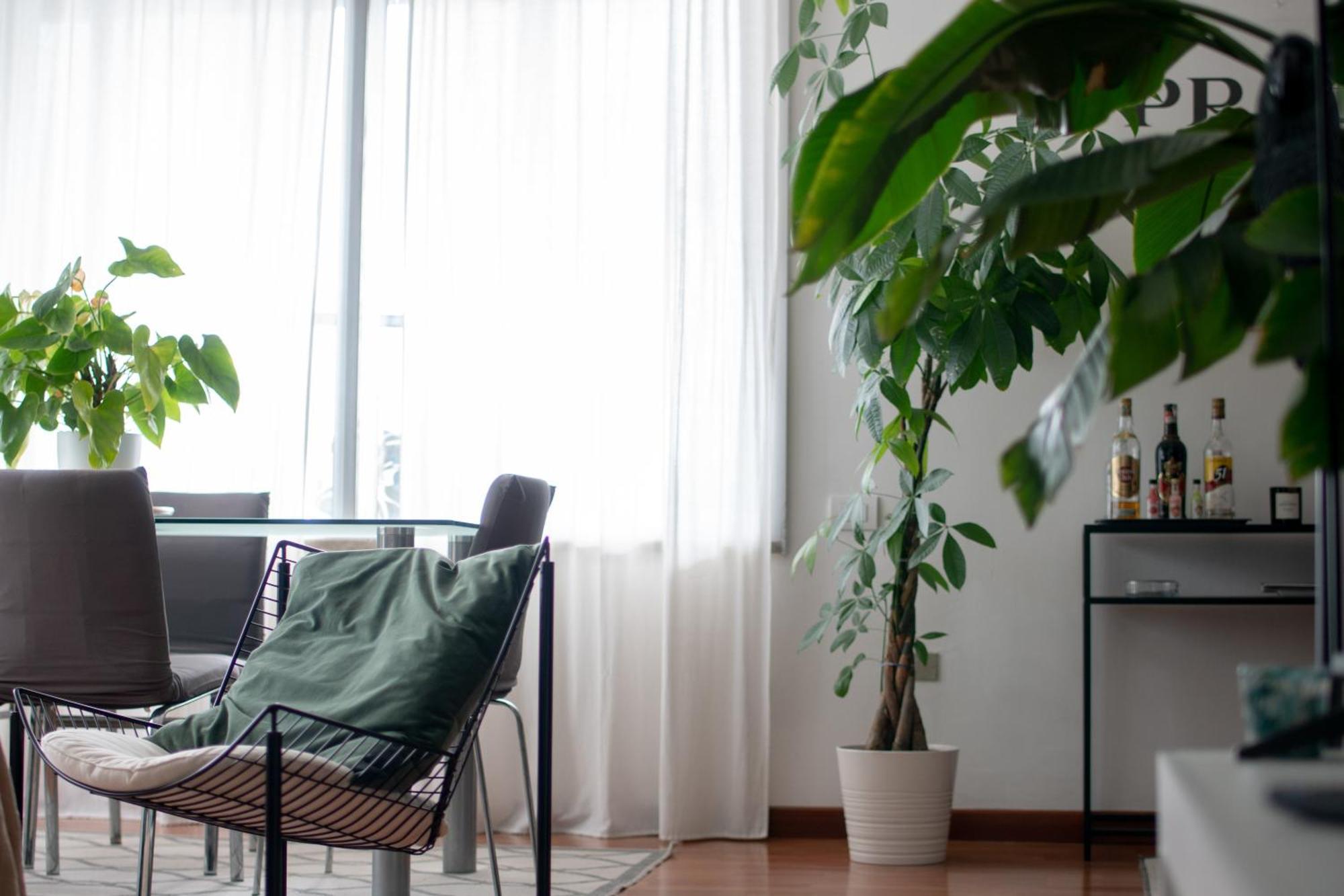 Appartement Urban Jungle - Attico Vista Duomo à Milan Extérieur photo