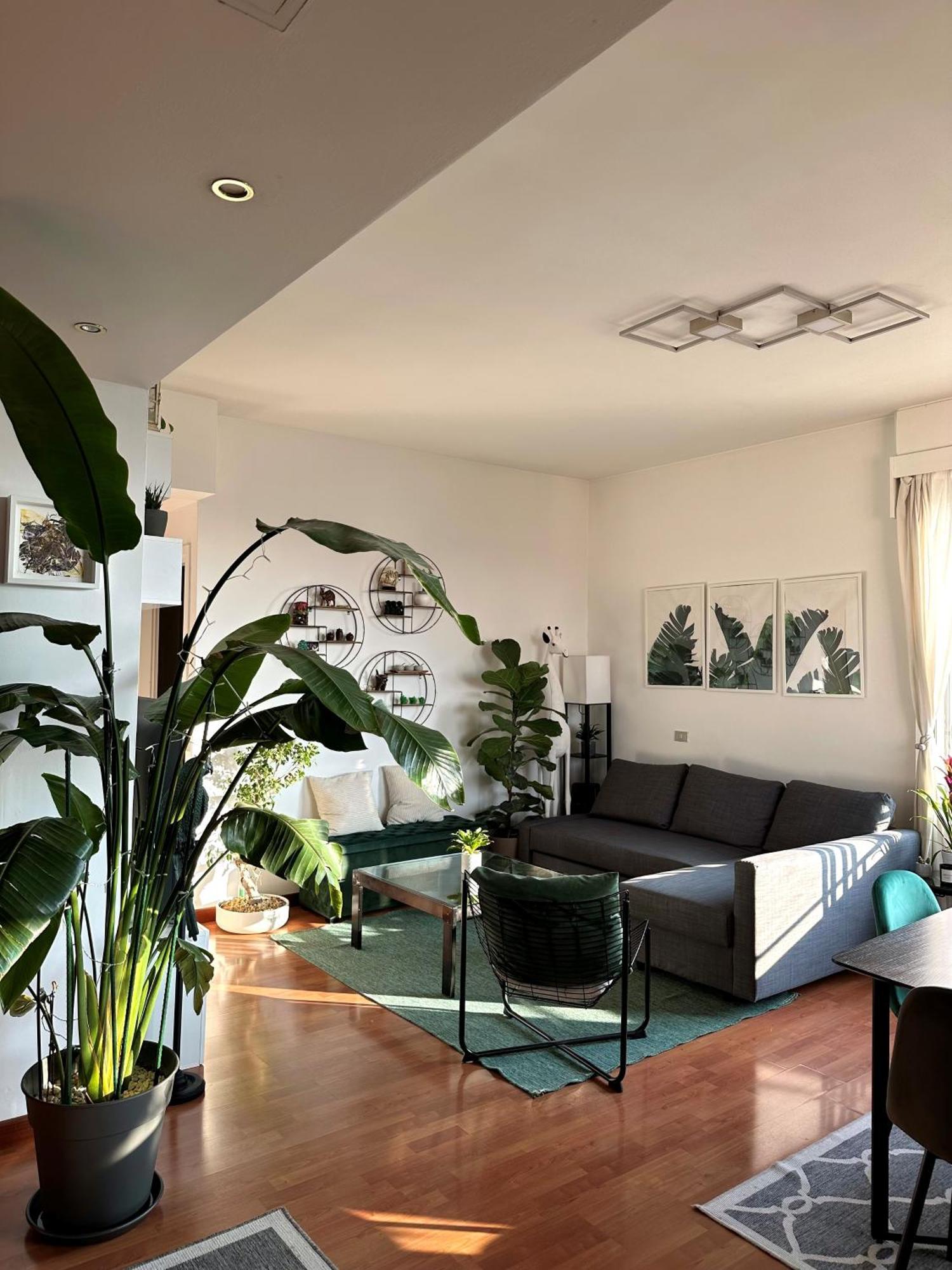 Appartement Urban Jungle - Attico Vista Duomo à Milan Extérieur photo
